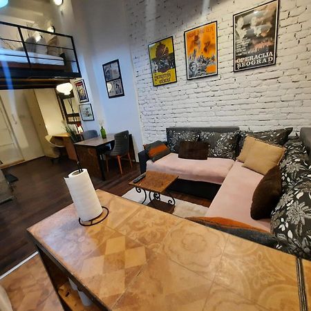 Apartament Authentic Belgrade Centre - Split Level Loft With Patio In Courtyard Zewnętrze zdjęcie